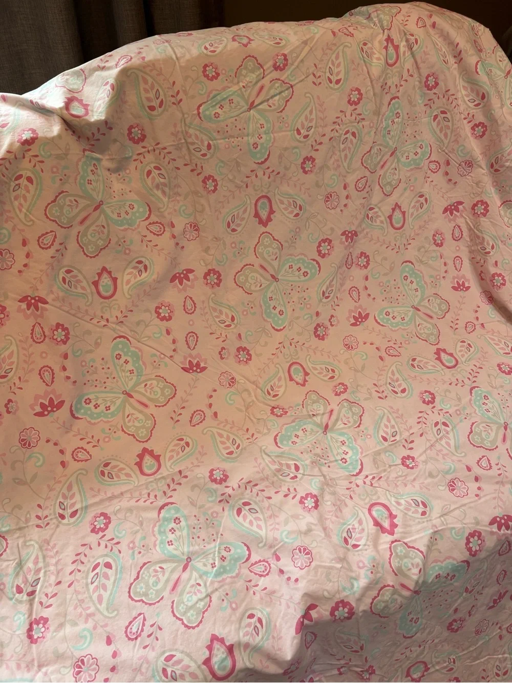 Pottery Barn Kids Kristen Paisley Cotton Twin Duvet Cover